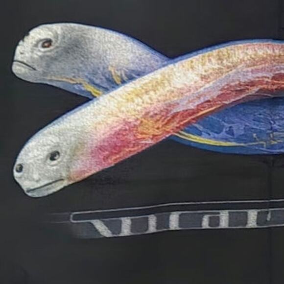 ANVIL Tool Concert Tee Size Medium Pre-loved Unisex VTG Retro - Picture 6 of 7